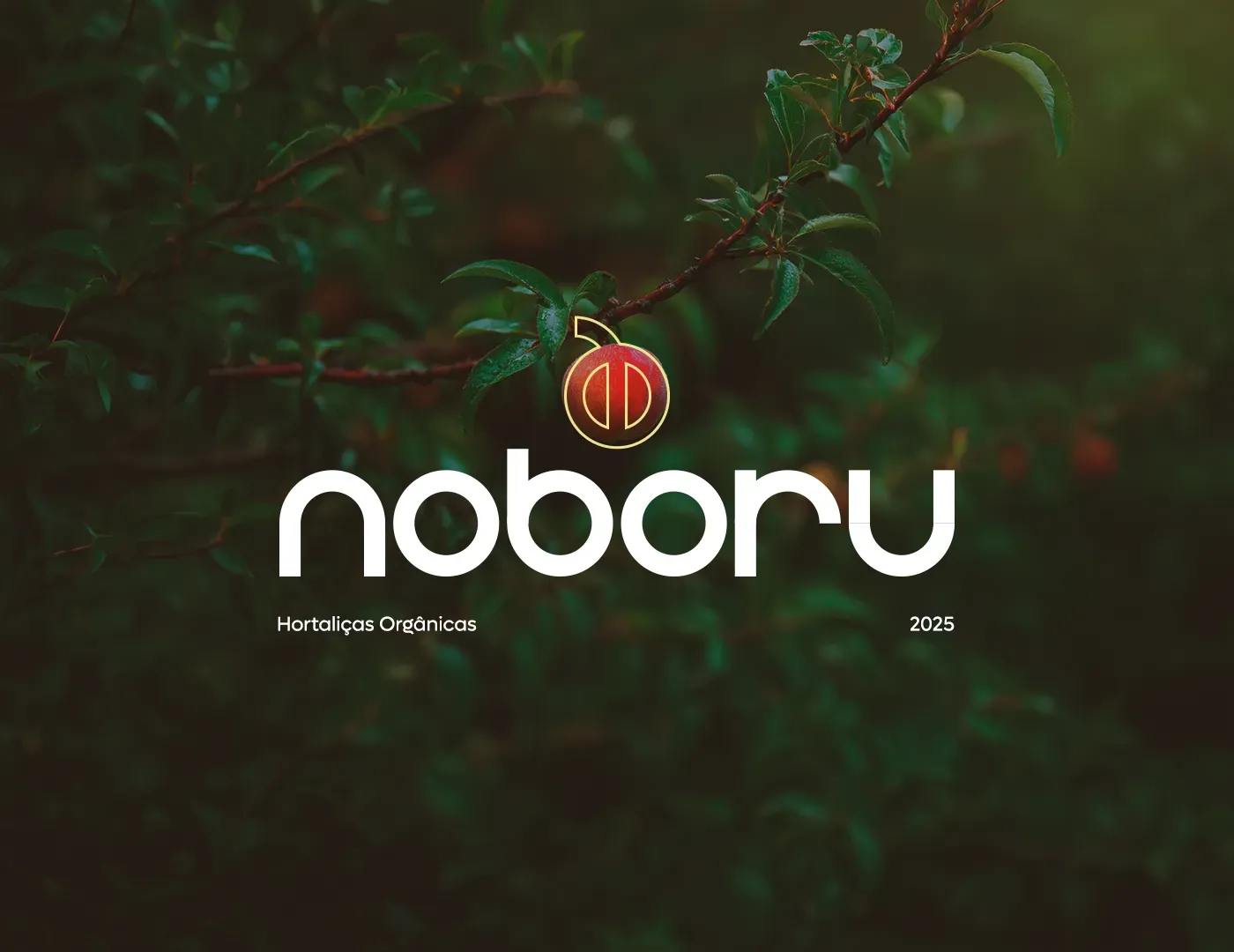 Logotipo Noboru Hortifruti sobre fundo verde